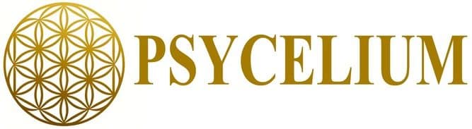 Cropped Logo Psycelium Flower Comp 700 Px.jpg