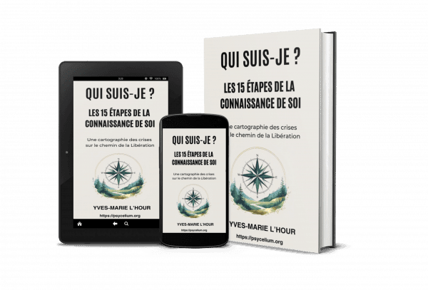 Ebook Qui suis-je ? Cartographie des 15 étapes