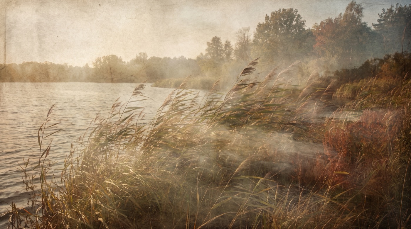 Choisir sa pratique de breathwork : le vent dans de hautes herbes au bord d'un lac à l'aube