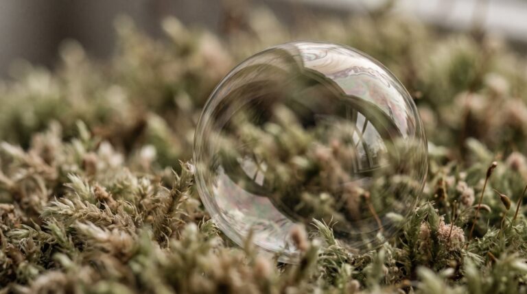Le mental, source de l'illusion du monde