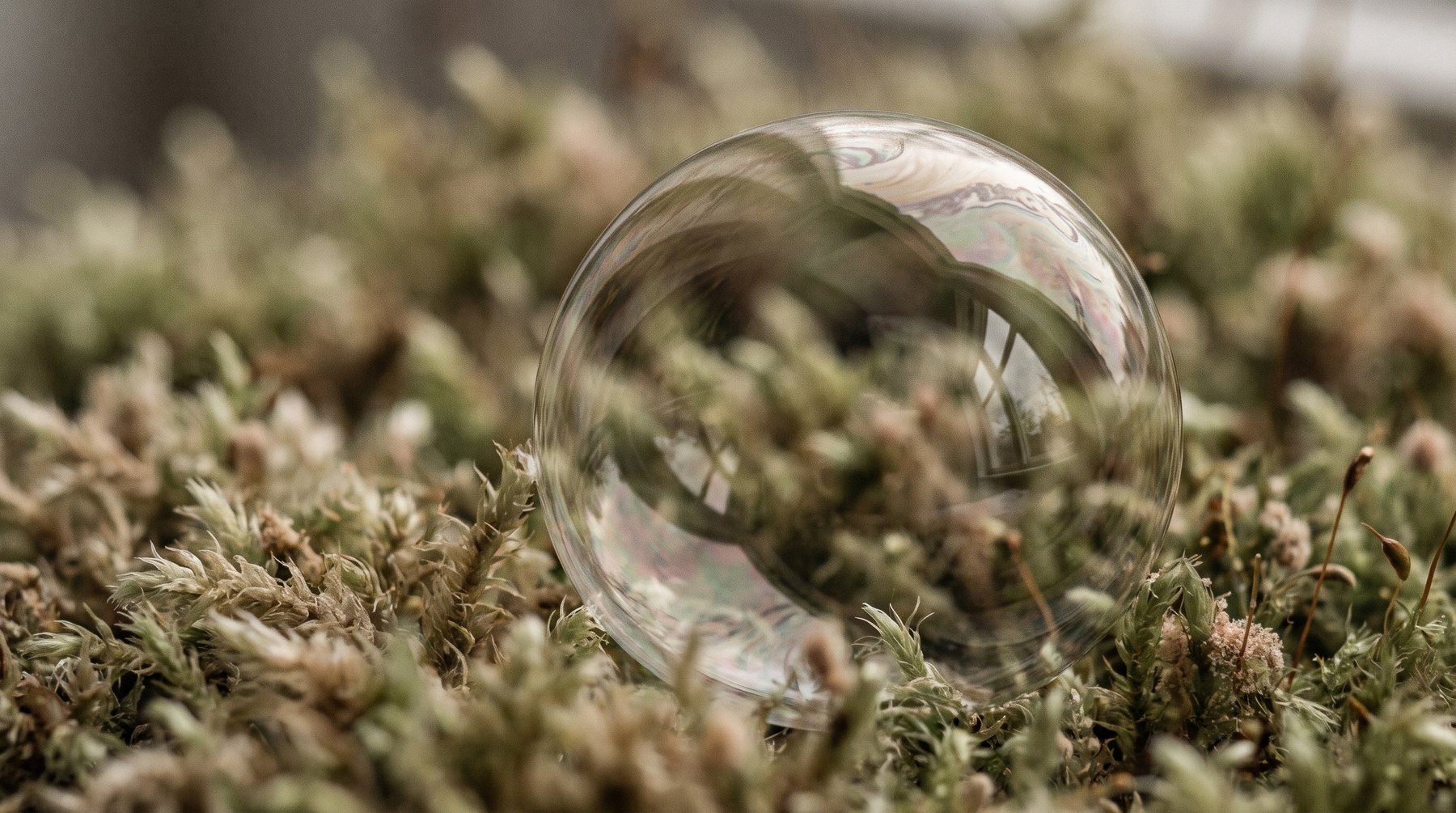 Le mental, source de l'illusion du monde