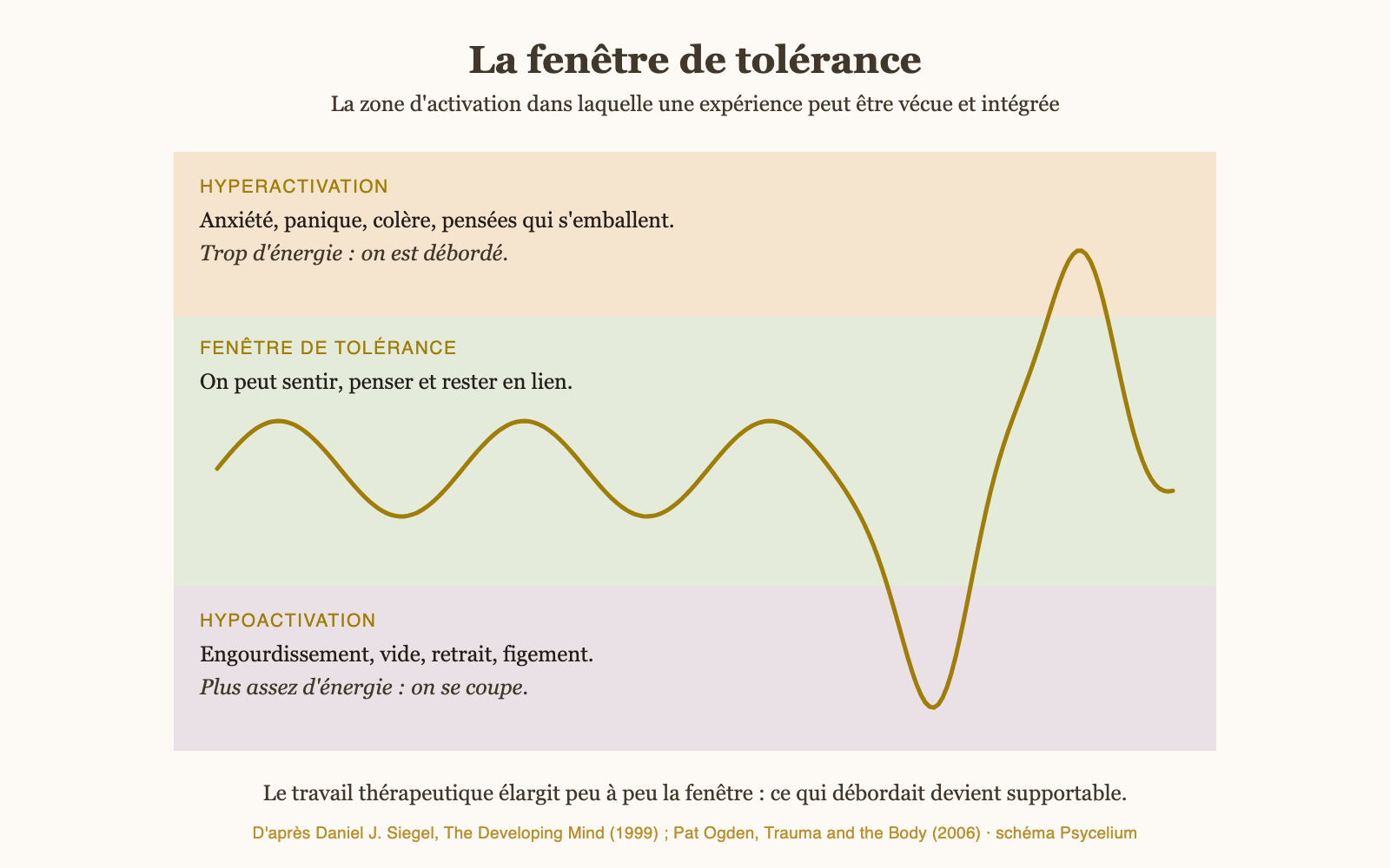 Schéma de la fenêtre de tolérance : zone d'activation intégrable entre hyperactivation et hypoactivation, d'après Daniel Siegel